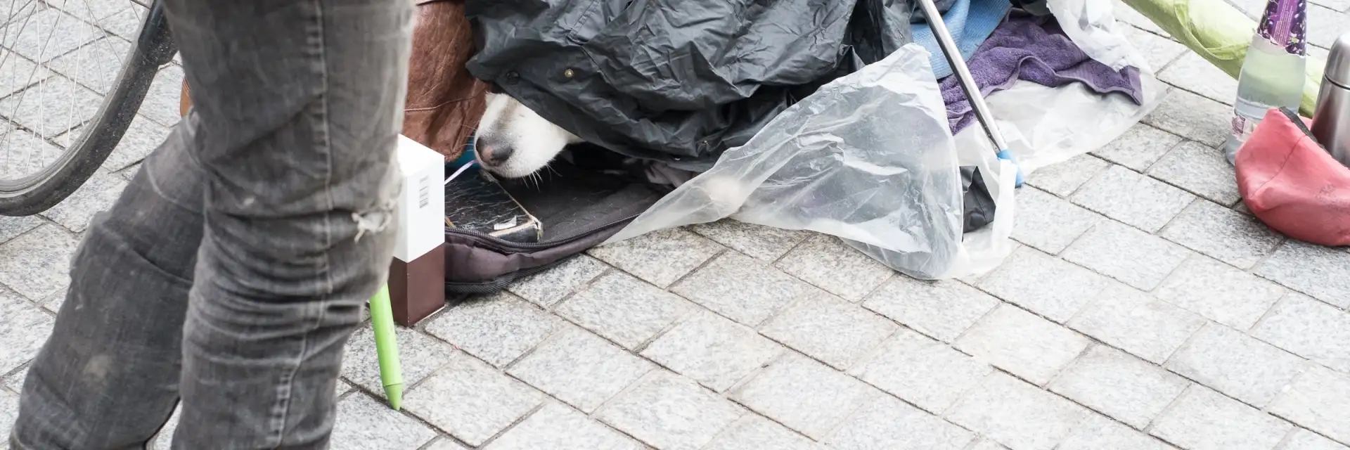 Velfærdspolitisk Analyse om hjemløse på forsorgshjem og herberger ...